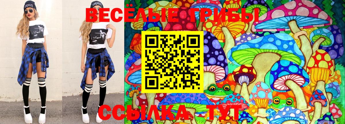 Псилоцибиновые грибы Cubensis Волжский